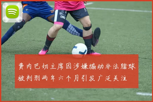 费内巴切主席因涉嫌煽动非法赌球被判刑两年六个月引发广泛关注